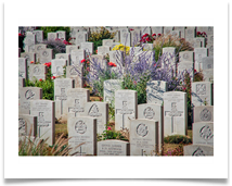 The Landscape of Remembrance - Carol Sparkes